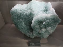 -中国地质博物馆