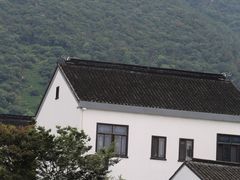 -树山生态村