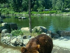 -北京野生动物园