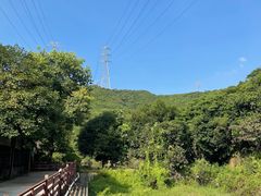 -庆丰农庄·团建·农家菜(大浪店)