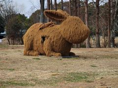 -嘉北郊野公园