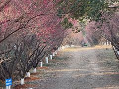 -敬亭山风景名胜区
