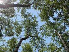 -玉渡山自然风景区