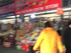-上海龙吴水胜海发市场
