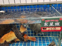 -飞尝蚝·顺德菜·鱼生(顺德总店)