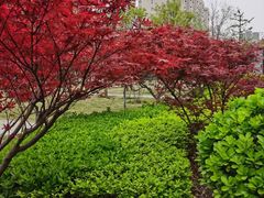 -元大都城垣遗址公园