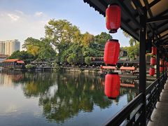 -侨美·唐荔园·40年地道粤菜