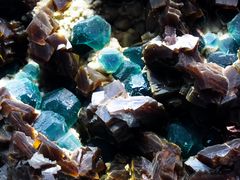 -湖南省地质博物馆