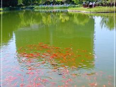 -西海子公园