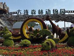 -大连森林动物园