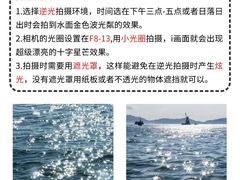 -CGWANG王氏教育(上海校区)