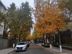 -北京化工大学(东校区)