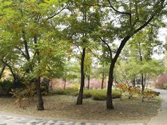 -沈阳职业技术学院