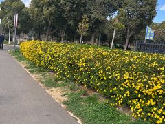 -呈贡滇池生态湿地公园