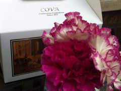 -COVA(新天地Xintiandi店)