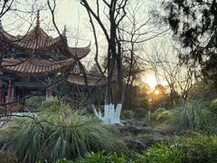 -昆明动物园