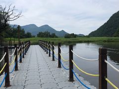 -大九湖