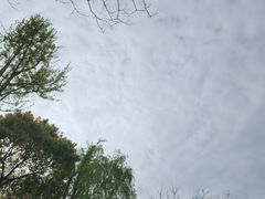 -贡湖湾湿地公园