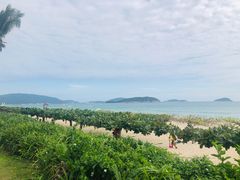 -三亚亚龙湾天域度假酒店