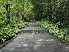 -海口火山口国家地质公园