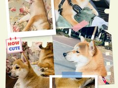 -SFC上影百联影城(川沙IMAX店)