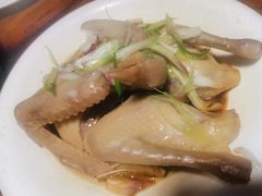 姜葱乳鸽-旺金鸽(穗盐路总店)