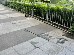 -证大大拇指广场(芳甸路店)