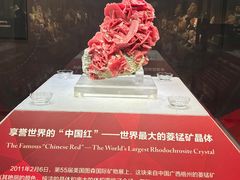 -湖南省地质博物馆