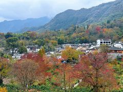 -塔川景区