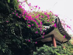 景点-东莞市可园博物馆