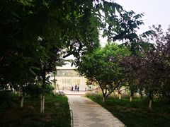 -绿岛公园(滨海新区)