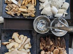 -蘑统田下·野生菌火锅