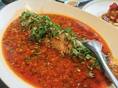 -南堂馆·新川菜(春熙路店)