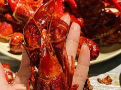 -巴厘龙虾·榜首油焖大虾(洞庭·艺术洋房店)