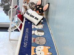 -纳吉亚猫专科动物诊疗中心(蒋宅口分院)