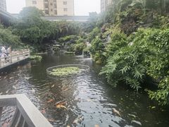 -桃园盛宴·岭南粤菜·手工茶点(南庄店)