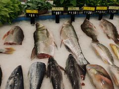 -莆鑫海鲜城(浏河店)