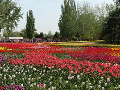 -国家植物园南园