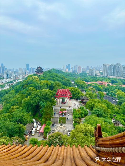 黄鹤楼公园(黄鹤楼)图片