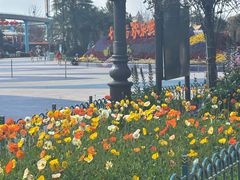 -七彩云南欢乐世界