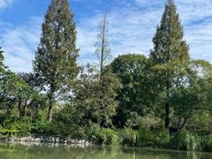 -西溪国家湿地公园