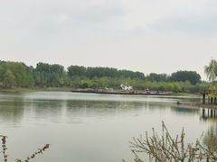 -东郊湿地公园