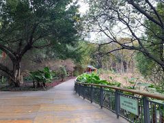 -金鸡山公园