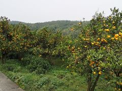 -南北湖风景区