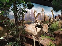 -陕西自然博物馆