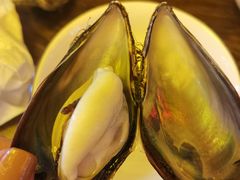 -土蚝·高压锅生蚝(百姓美食街店)