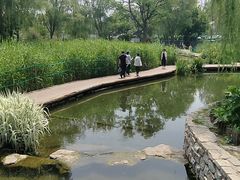 -春风习习