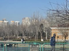 -绿岛公园(滨海新区)