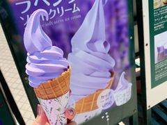 -富田农场