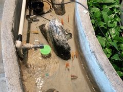 -湘芙蓉·湖南菜(椒江店)